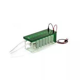 Камера для электрофореза на 12 гелей Mini-PROTEAN 3 Dodeca Cell, Bio-Rad фото 1