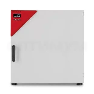 Термостат Binder BF 240, принудительная вентиляция фото 1