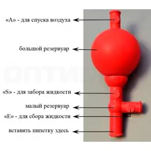 Груша резиновая с тремя клапанами, Foyomed фото 1