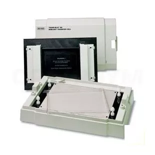 Система для блоттинга Trans-Blot SD Semy-Dry Transfer Cell, площадь, 240х160 мм, Bio-Rad фото 1