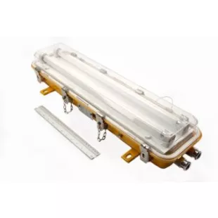 CFY21-2 2х18W 230VAC G13 IP56 светильник люминесцентный взрывозащищенный фото 1