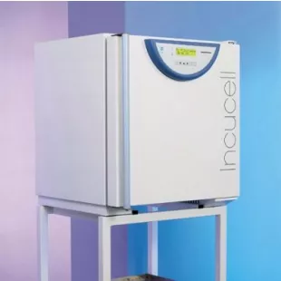 Лабораторный термостат Incucell V 55 Komfort, BMT фото 1