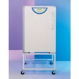 Лабораторный термостат Incucell V 222 Komfort, BMT фото 1